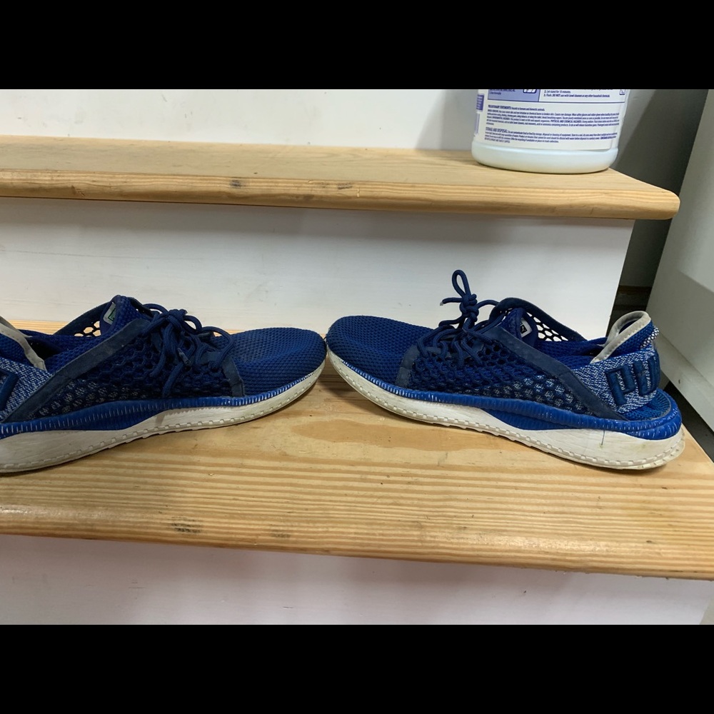 Pumas OFFER